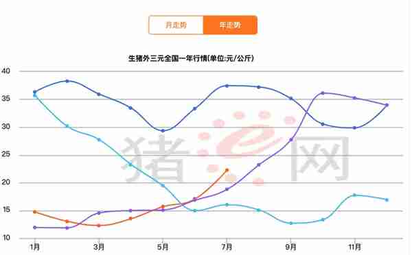 下一个潜力品种，有望底部确认，生物股份，动保疫苗龙头