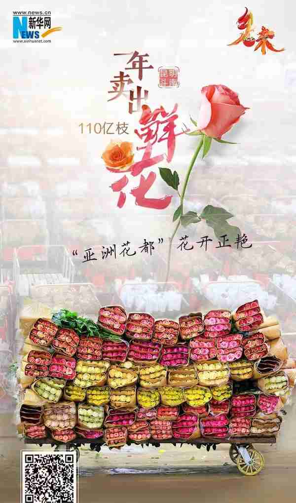 乡味｜昆明斗南：一年卖出110亿枝鲜花 “亚洲花都”花开正艳