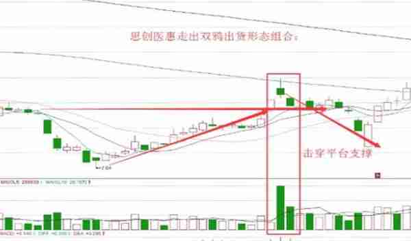 带血的总结：但凡高位“双鸦跳空”K线形态，杀跌马上降临，马上所有仓位清空走人