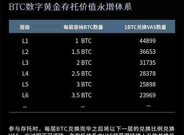 暗网项目VAS火爆，3小时吸金1000个比特币？