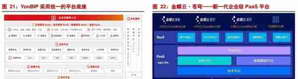 数字经济 SaaS 专题：用友和金蝶，现状与未来？