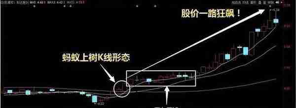 中国股市：深藏不露的“阴线”形态战法，主力拿你都毫无办法