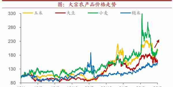 全球粮价会迎来新一轮上行吗？