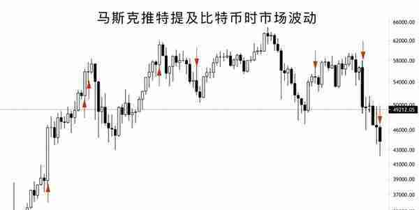 比特币历史性暴跌，84万人一夜血本无归！马斯克被狂骂：你害惨我