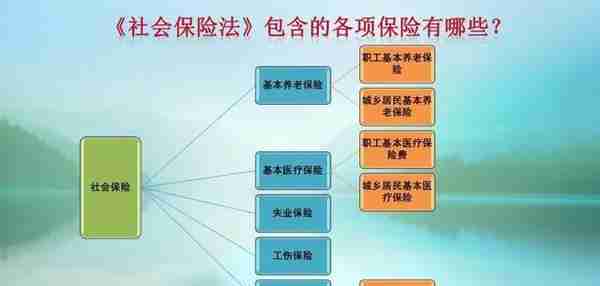 2022年已经38岁的女性，社保交好还是不交好？从这六个方面来考虑