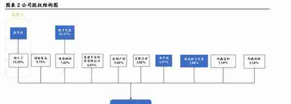 个股分析：闻泰科技