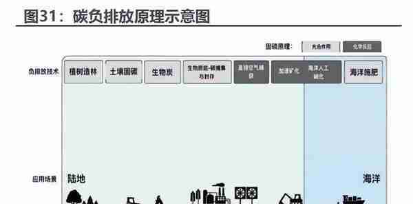 碳中和林业碳汇专题报告：CCER重启在望，我国碳交易市场大有可为