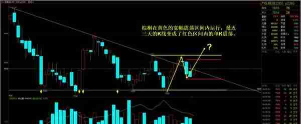 2023-2-14分析：黑色企稳上涨，油脂单K震荡