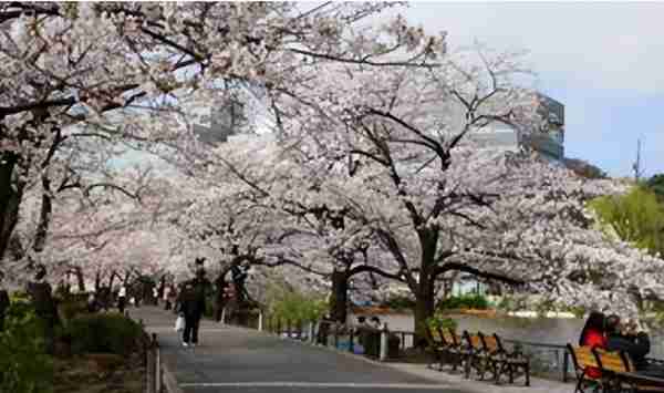 日本东京旅游锦囊（一）