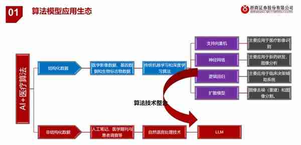 医疗AI产业链深度研究：AI大模型+医疗龙头公司