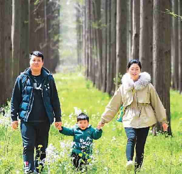 清明赏春本地游：美景未必远方寻 家乡也有好风光