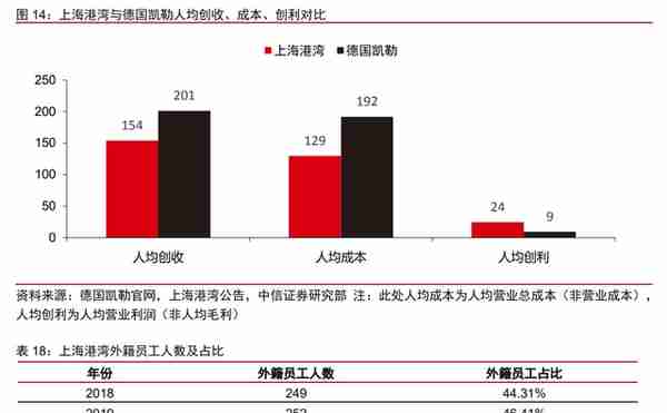 深耕二十余载，上海港湾：软地基处理领先企业，拥抱高质量快成长