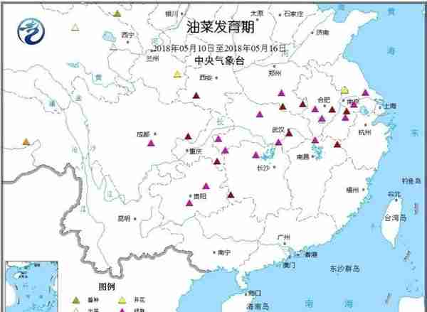 菜油现货报价再次接近7000元/吨，现抗跌新常态