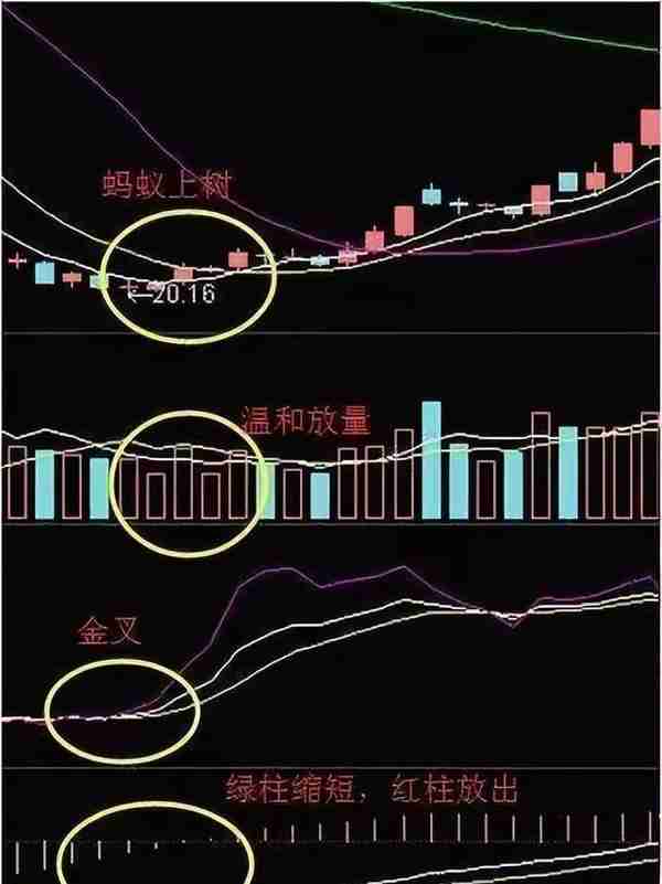 中国股市：深藏不露的“阴线”形态战法，主力拿你都毫无办法