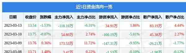 万里股份（600847）3月13日主力资金净卖出118.10万元