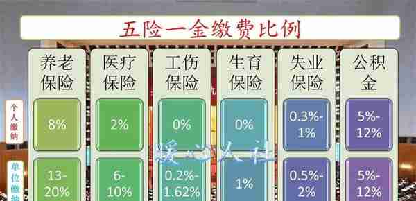 2023年，自谋职业人员参加社保和公积金，怎样缴费最划算呢？