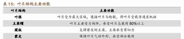 低估的原丝龙头，吉林碳谷：供给缺口+价格支撑，成长性如何？上