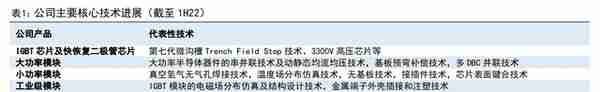 IGBT 领军企业，斯达半导：存量替代与增量渗透，铸就核心竞争力