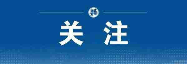 明起全面恢复！这些社保办理热点答疑来了