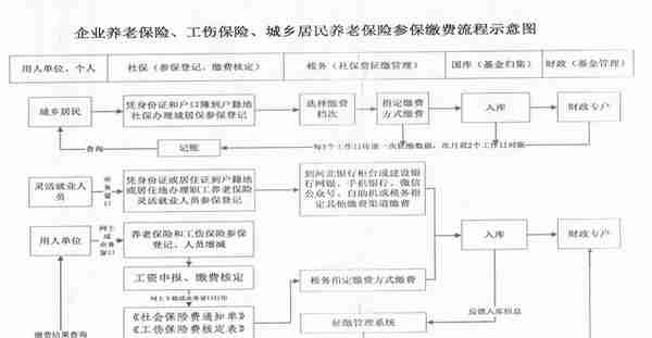 石家庄人注意！今年起居民养老险怎么交，要按这个新的流程来