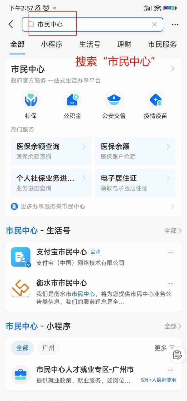 社保！自己怎么查！——支付宝篇