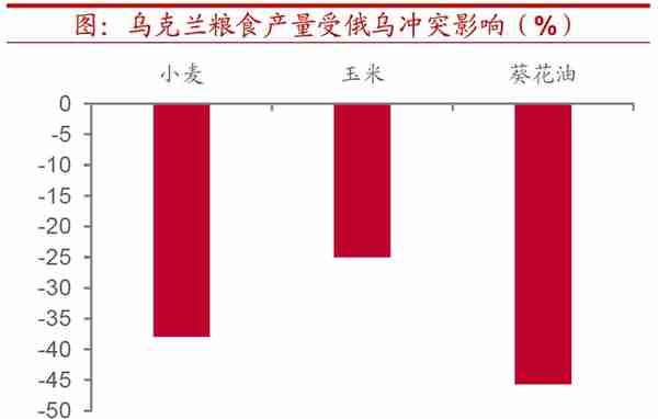 全球粮价会迎来新一轮上行吗？