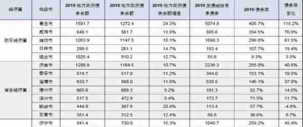 山东省投融资平台转型发展研究