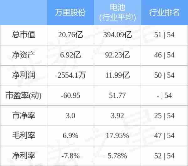 万里股份（600847）3月13日主力资金净卖出118.10万元