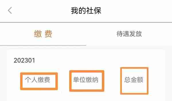 超便捷！社保缴费明细可以这样查