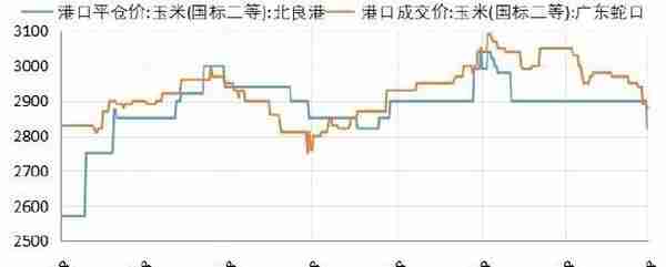 华安期货：玉米供压减弱 节日效应提振消费信心