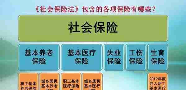 社保缴费基数下限达到6520元，单位和职工缴费分别多少？待遇呢？