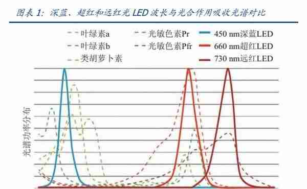 LED植物照明市场研究：扩容动能充足，植物照明市场放量在即