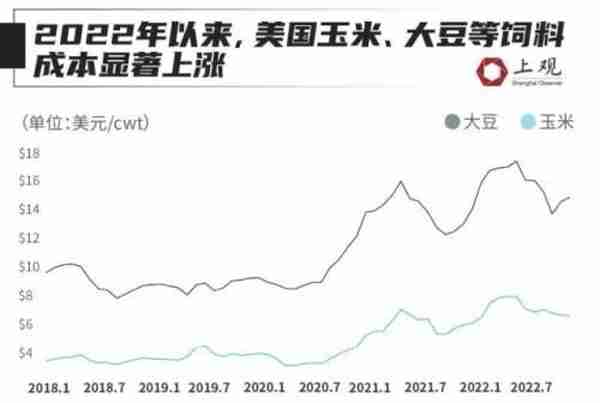 快吃不起鸡蛋了？全球多地蛋价创纪录！最离谱的是这个国家→