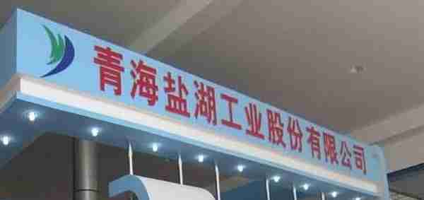 盐湖股份：市值200亿，亏了400亿，还剩多少亿？股东：至少1000亿