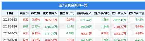 高鸿股份（000851）3月13日主力资金净买入3655.15万元