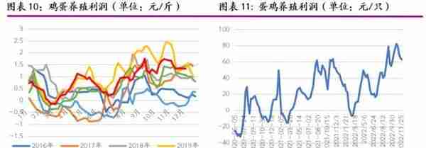 2023年度策略之鸡蛋：供需博弈，蛋价前低后高