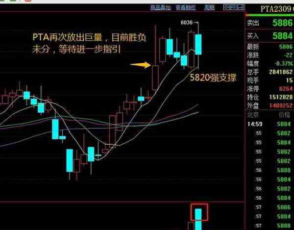 期货最大成交量分析-PTA20230412