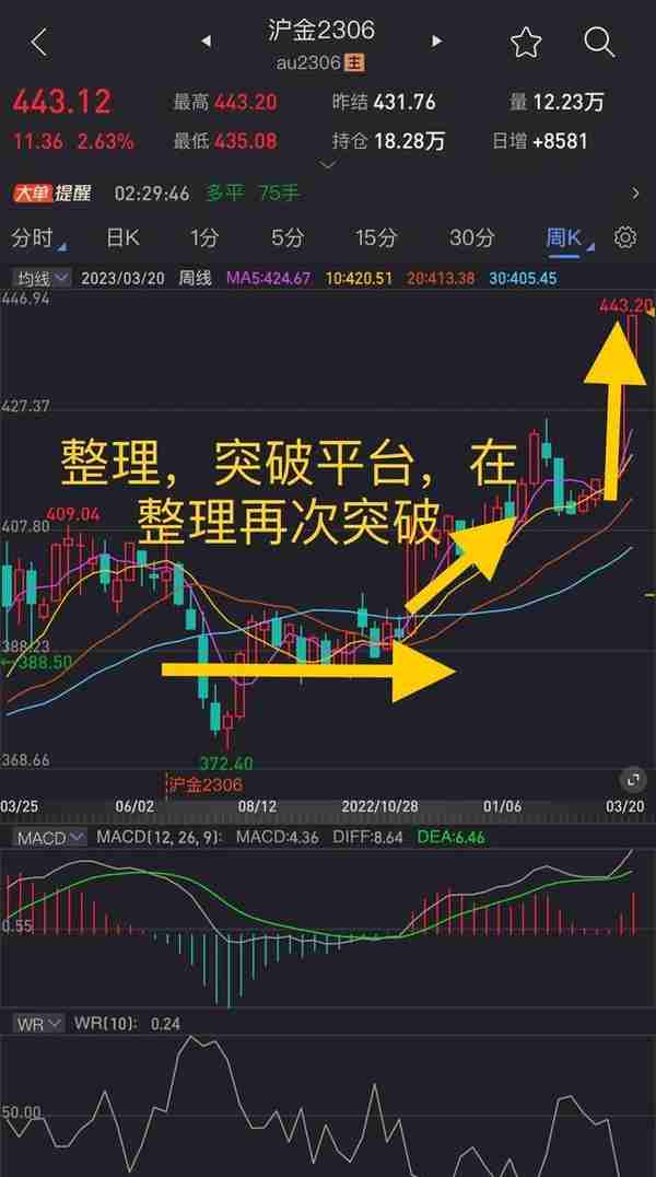 沪金期货交易下周行情走势预测分析