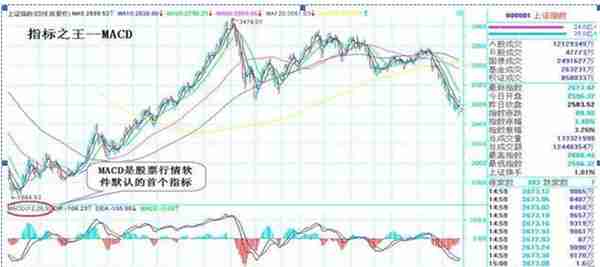 我在5年内把9万本金做到了990万，只靠死磕“MACD三板斧”：抄底术、逃顶术、抓主升，送有缘人