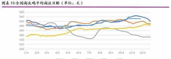 2023年度策略之鸡蛋：供需博弈，蛋价前低后高