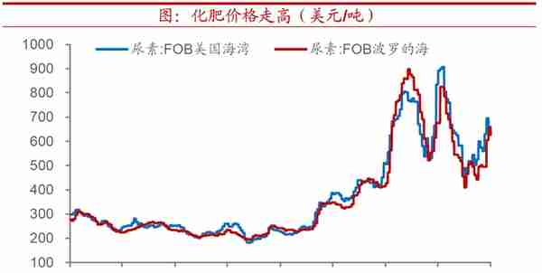 全球粮价会迎来新一轮上行吗？