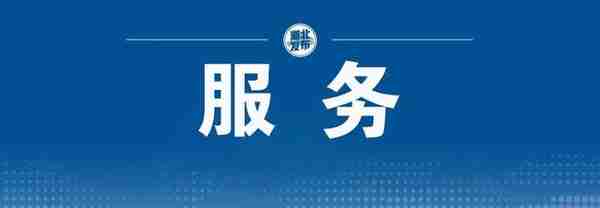 社保系统停机期间，业务怎么办？最新回复来了