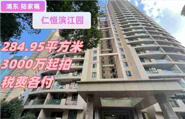 拍卖房 法拍房 浦东新区 仁恒滨江园  复式住宅 10.5万/平方起拍