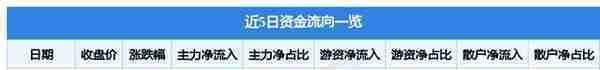 巨轮智能6月21日主力资金净买入9979.52万元