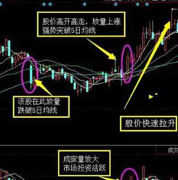 沪深A股唯一百试百灵的均线铁规——五日不破，不必操作！读懂此文才真正称得上高手