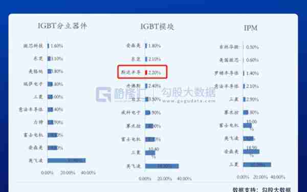 2020年十大牛股：立昂微飙涨16倍夺冠