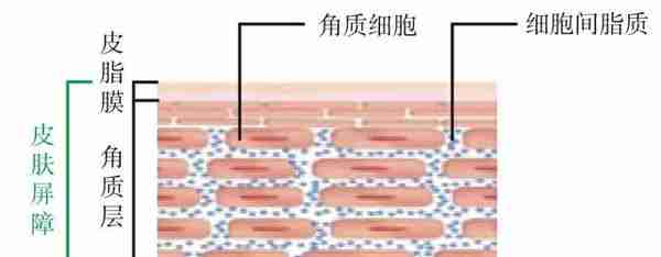 白银真像古装影视剧中那样使用吗？带你了解真正的白银货币史