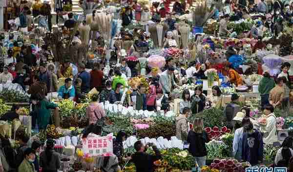 乡味｜昆明斗南：一年卖出110亿枝鲜花 “亚洲花都”花开正艳