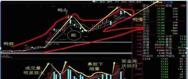 一位成功操盘手十年心得：千金难买“老鸭头”，再忙也要花5分钟看看，老手靠此曾一年翻2倍