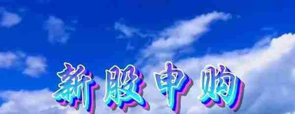 2023年3月29日新股申购价值分析5-5：鼎智科技(873593)